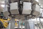 Ishida 14 Head Combination Weigher